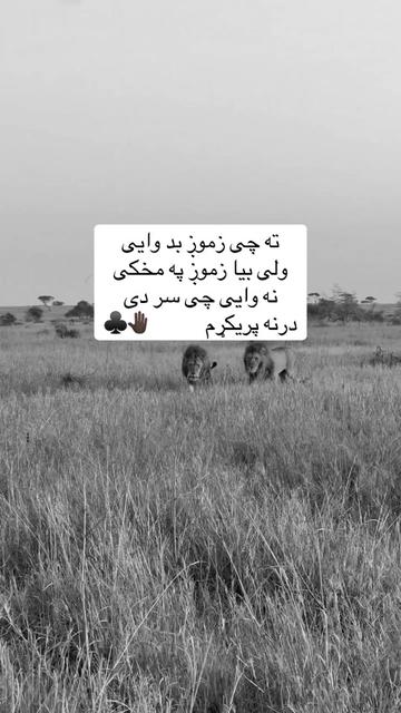 @🥷🏿کــــپــــچــــه🥷🏿