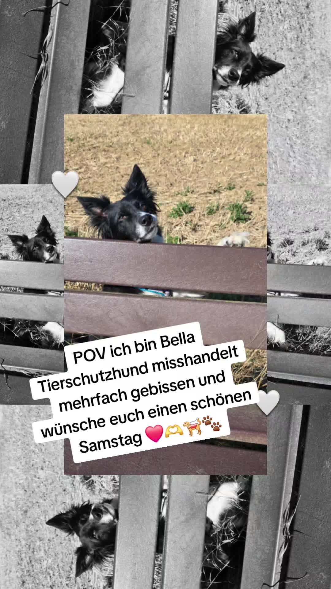 @Tatjana & Bella