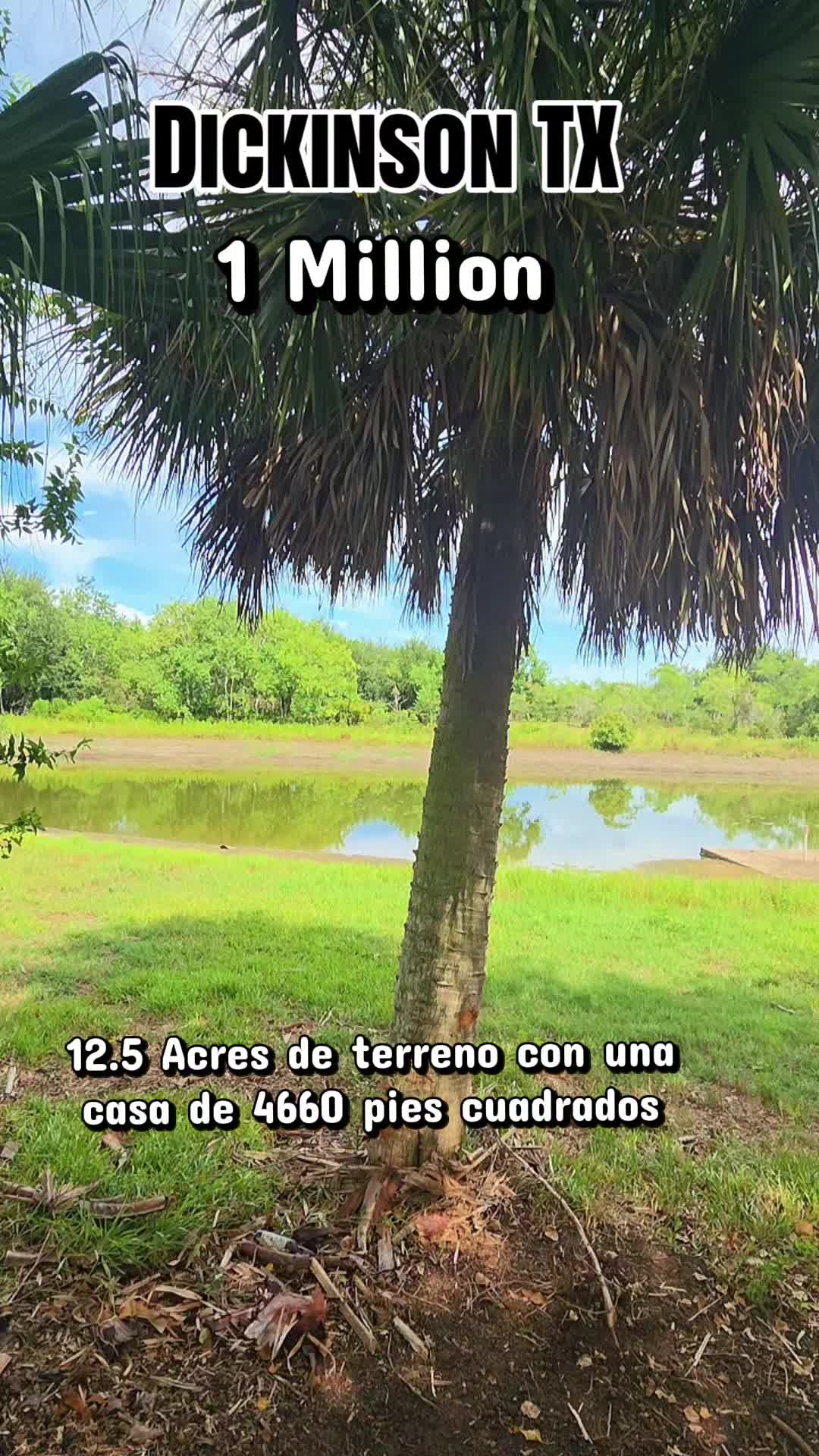@Frank Flores