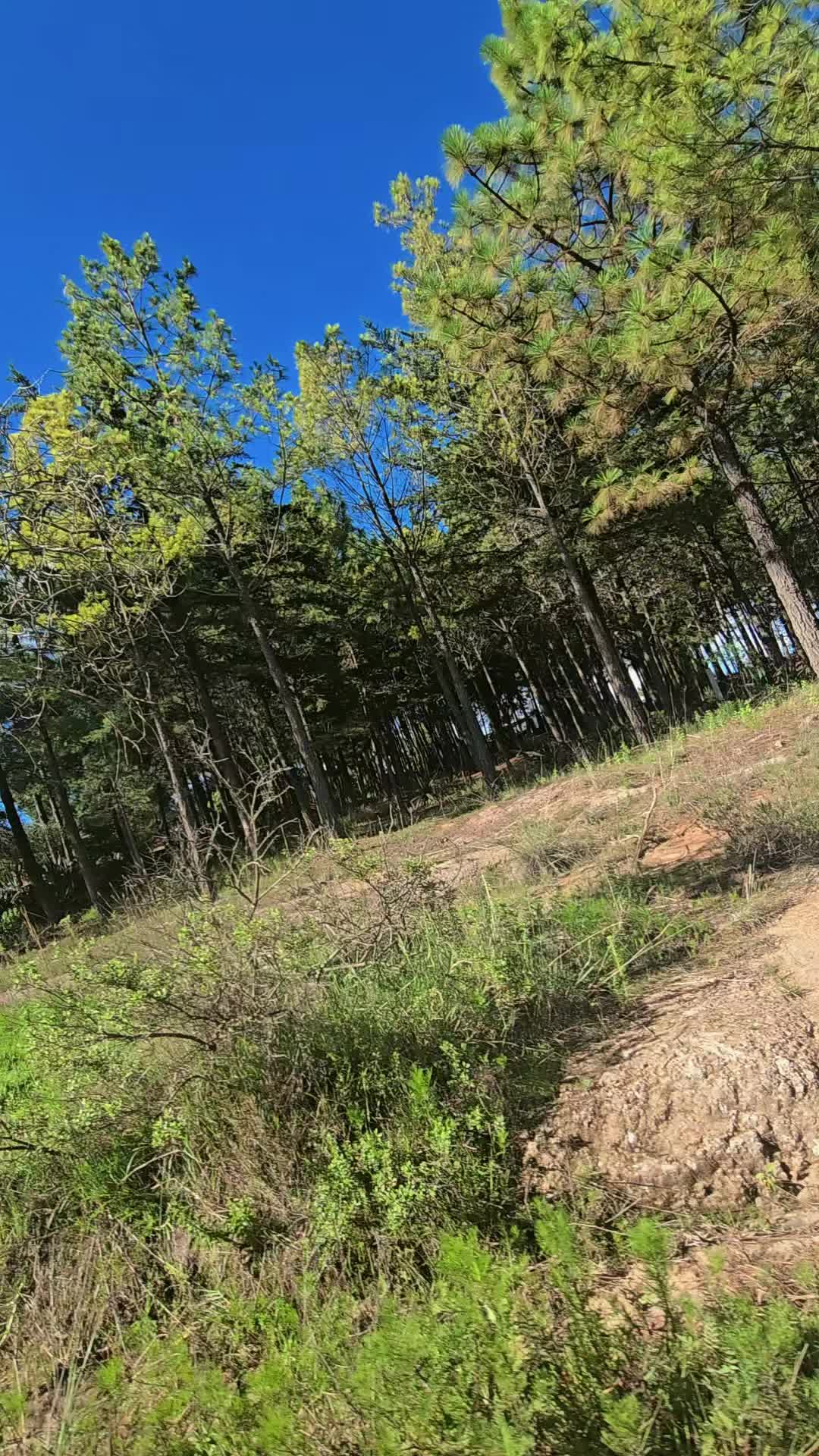 @Mooon