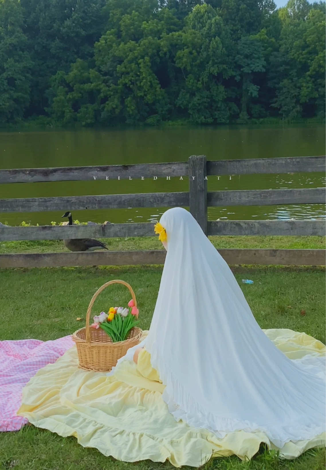 @𝒱𝑒𝒾𝓁𝑒𝒹 𝐻𝒶𝓎𝒶𝓉𝒾 &reg;