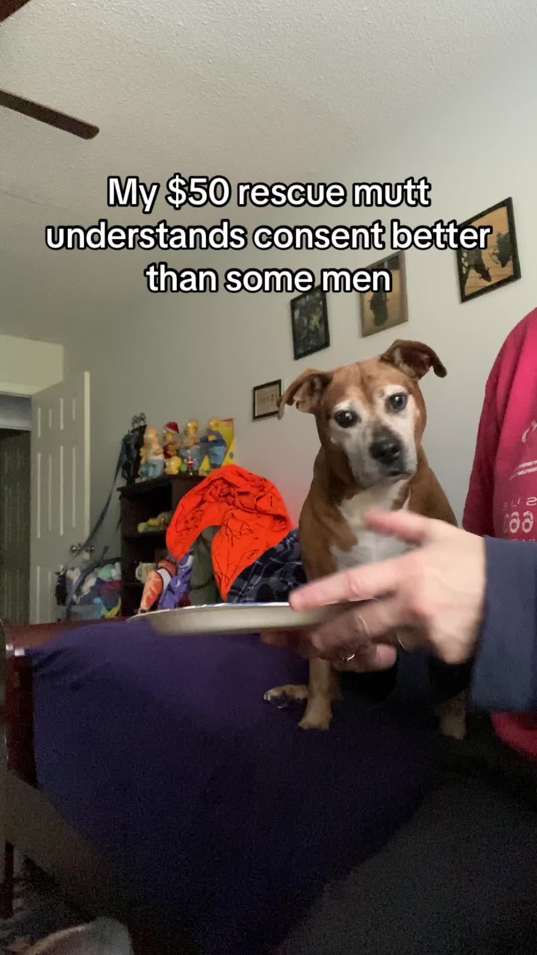@Lady and Gus