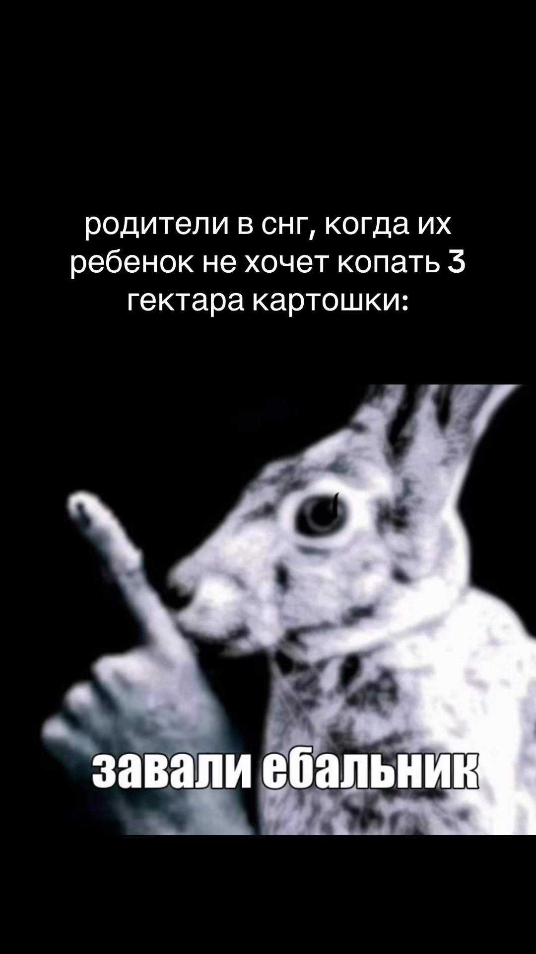 @rimochkaaa