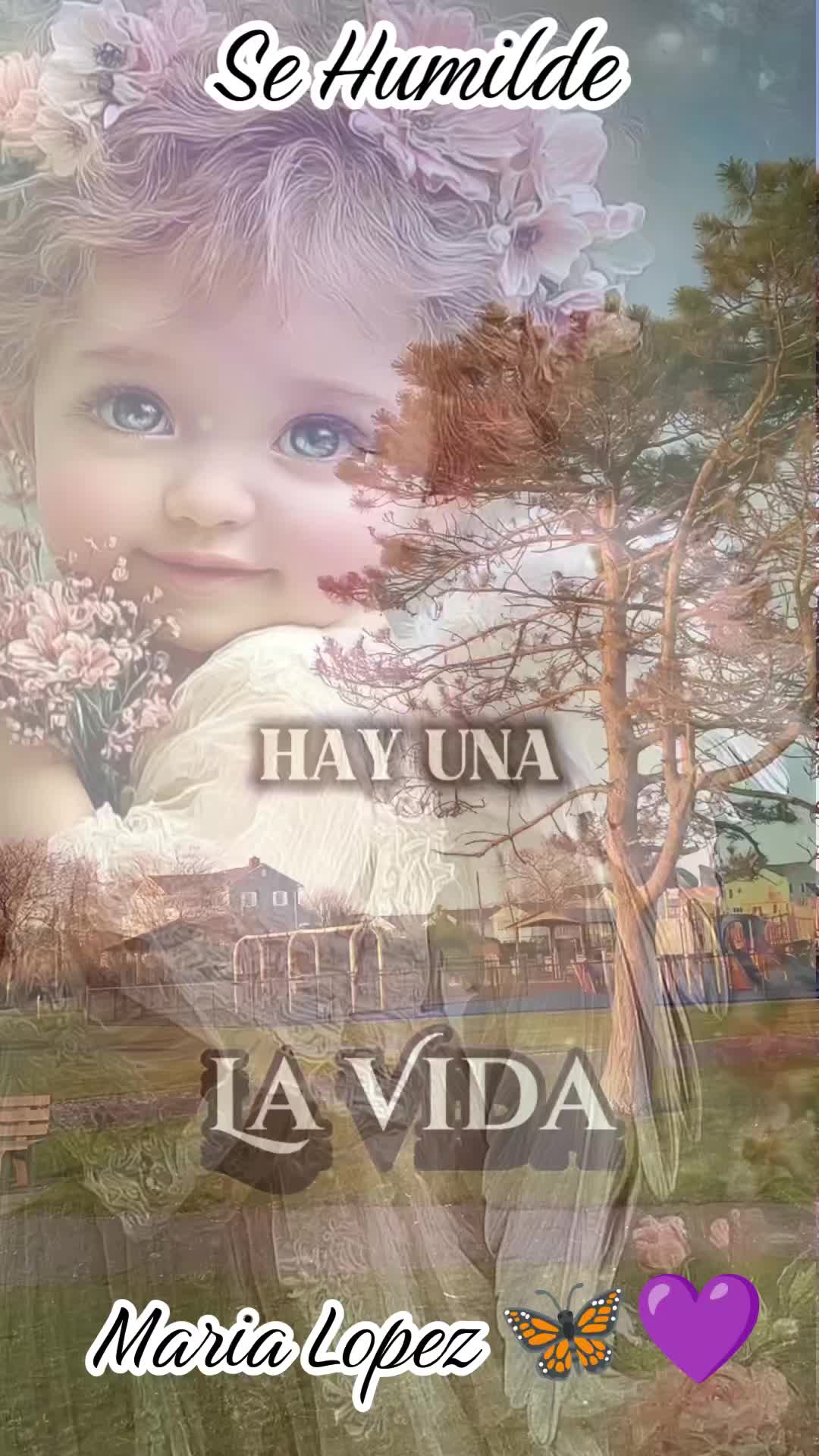 @8Mariposas8