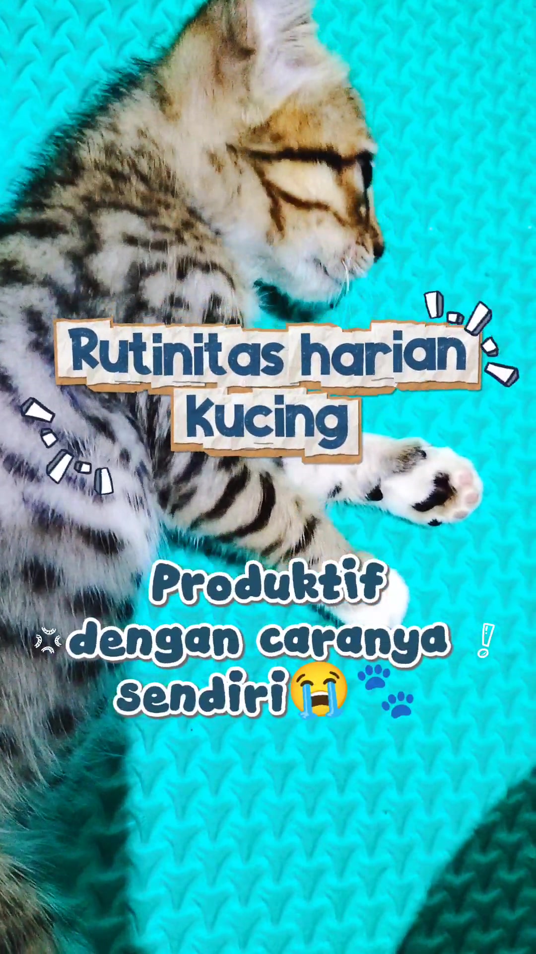 @Bollu