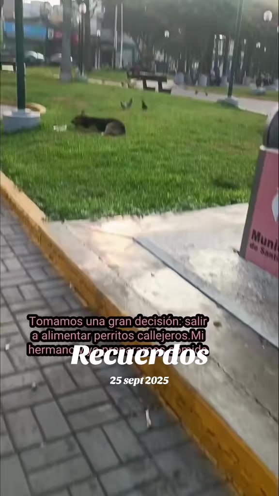 @Perritos Voladores