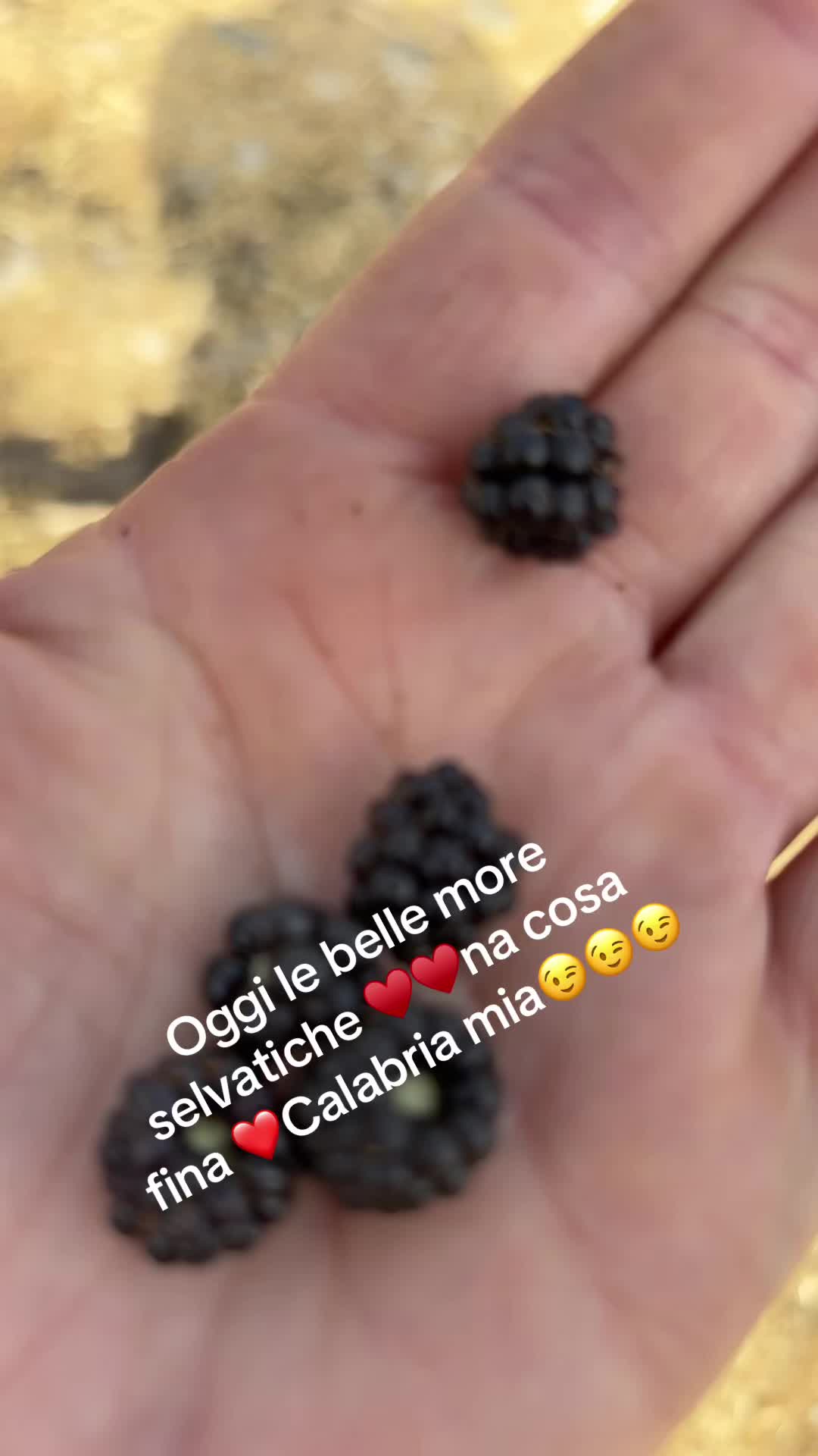 @B🌸N🌸Giovanna nigro