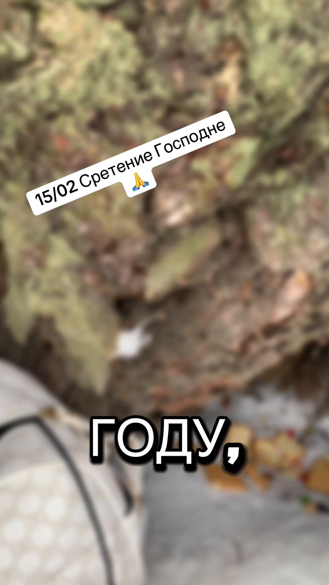 @Кэтрин Кимби
