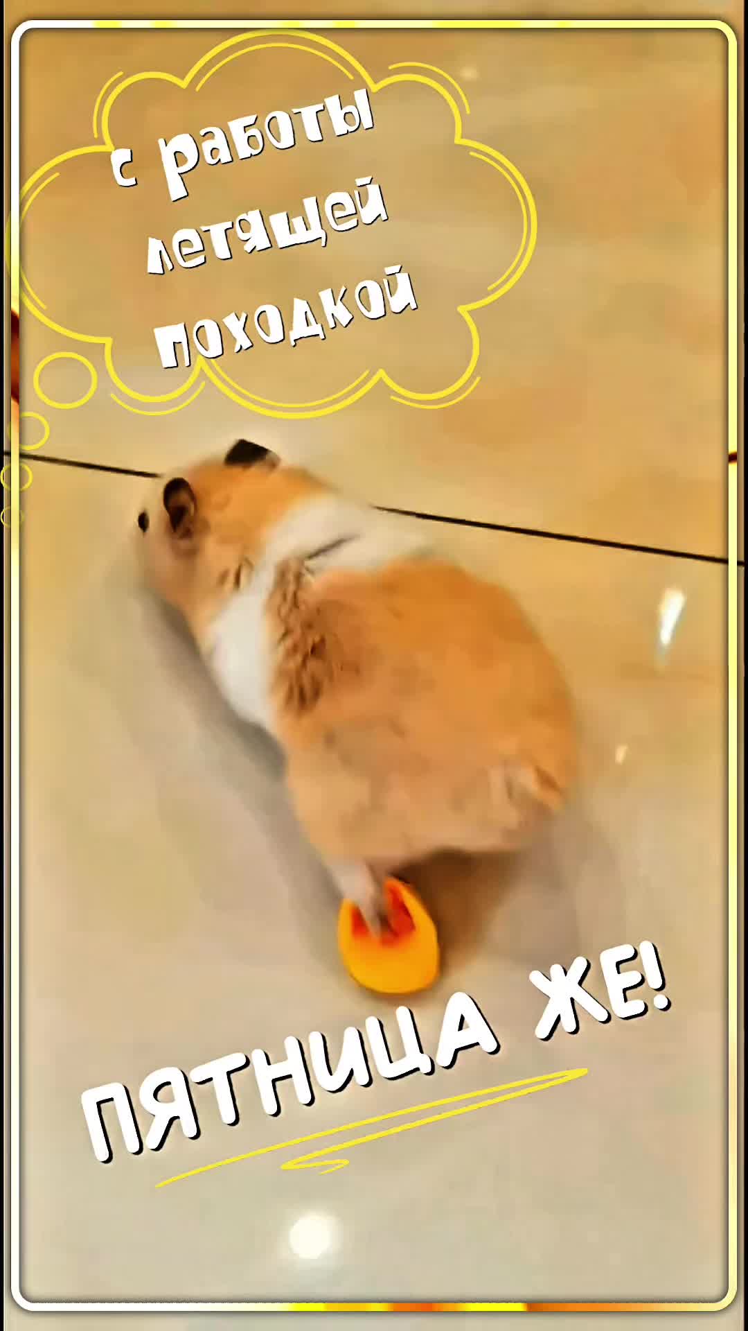@ªᏗИ₡ª