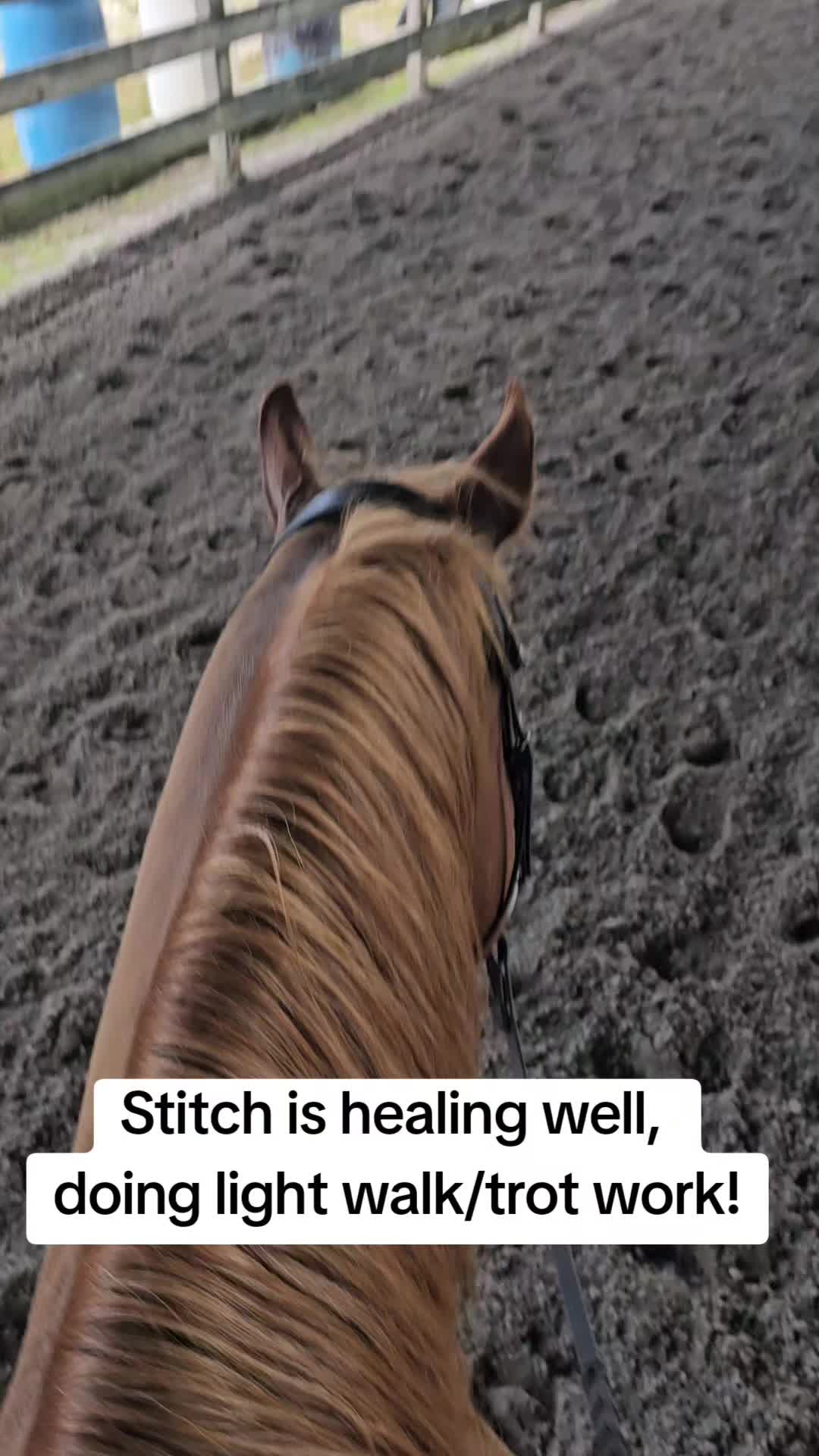 @Rachelrides