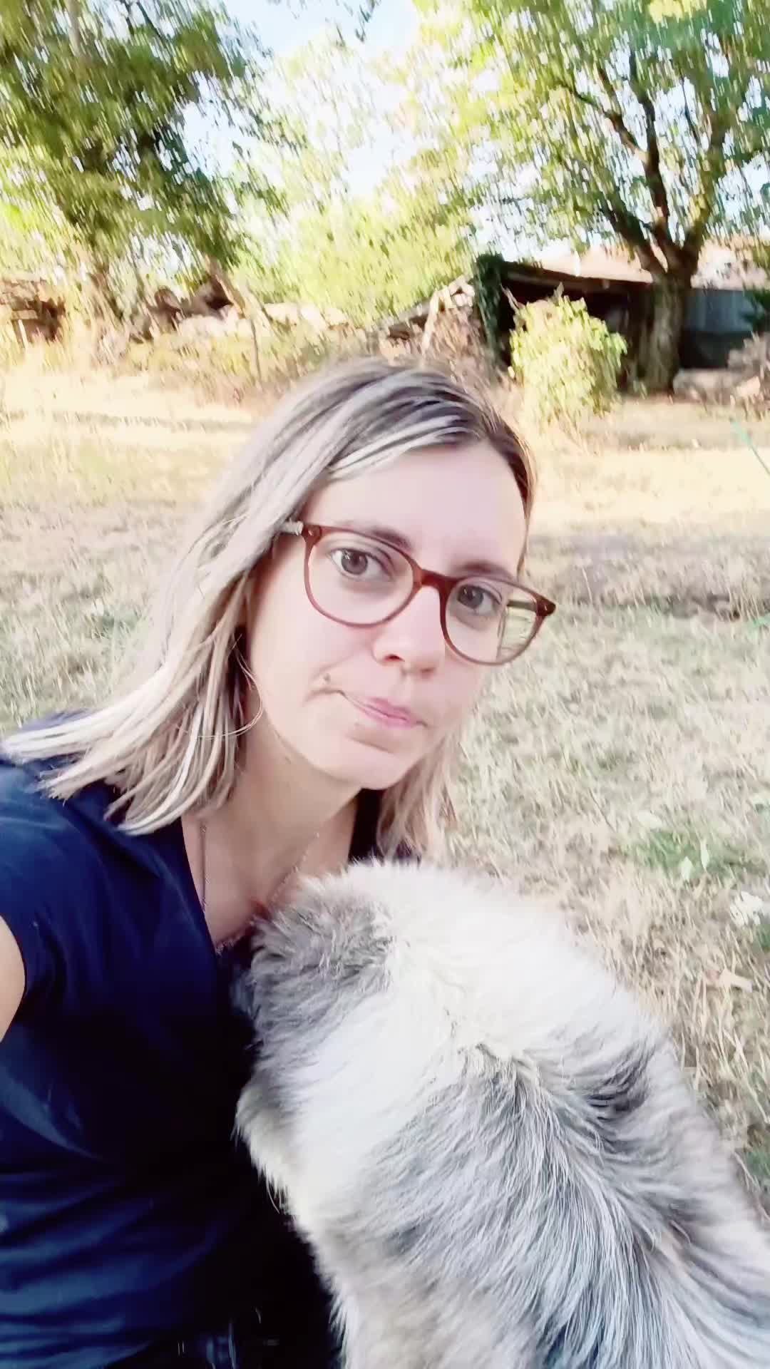 @Ludivine 🪶🐶🐮