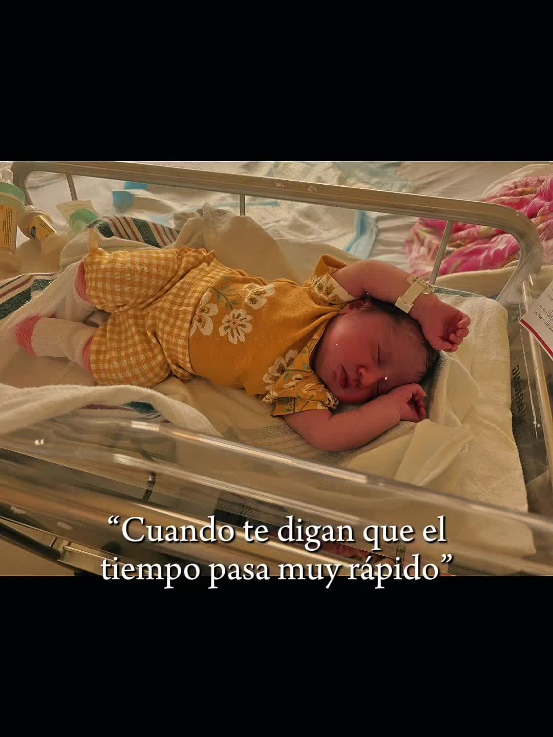 @fani Gonz&aacute;lez 🦋🇭🇳