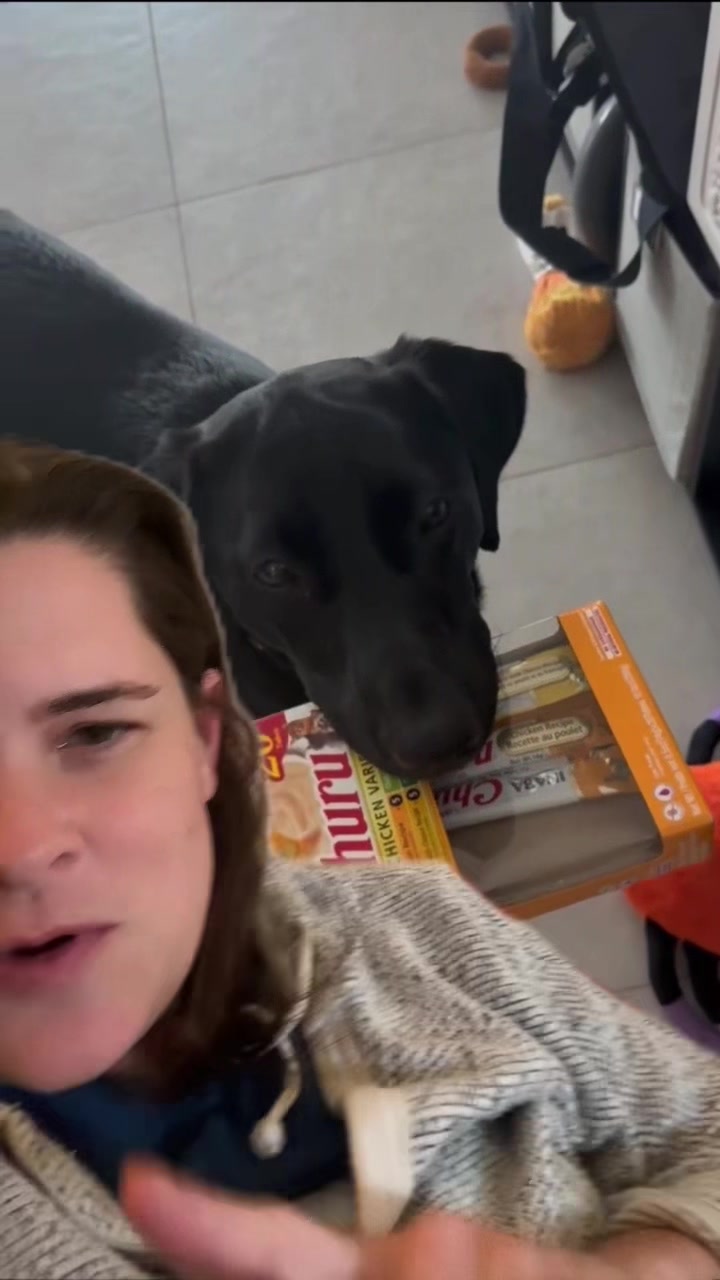 @AmandaT_CoolDog_Trainer ๐ซต๐ถ๐