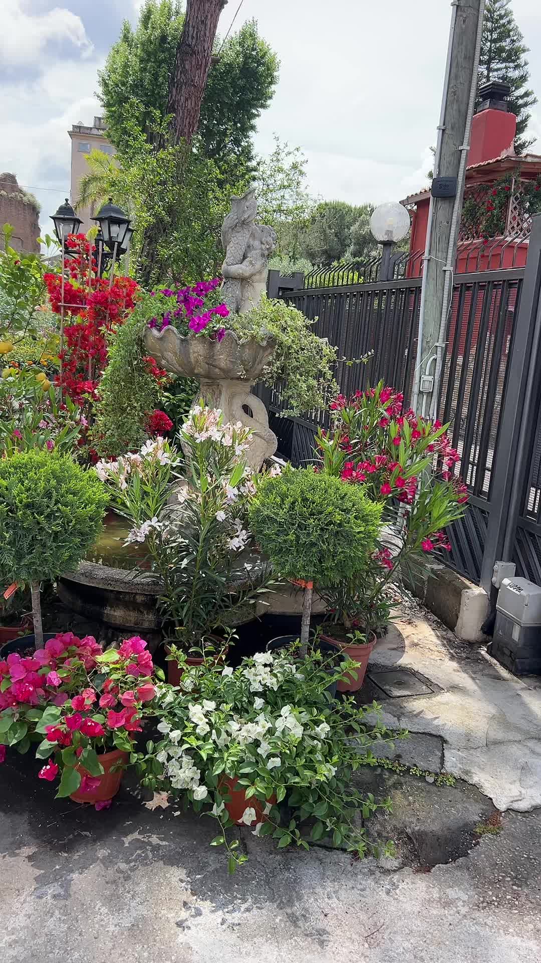 @vivaioanticogarden