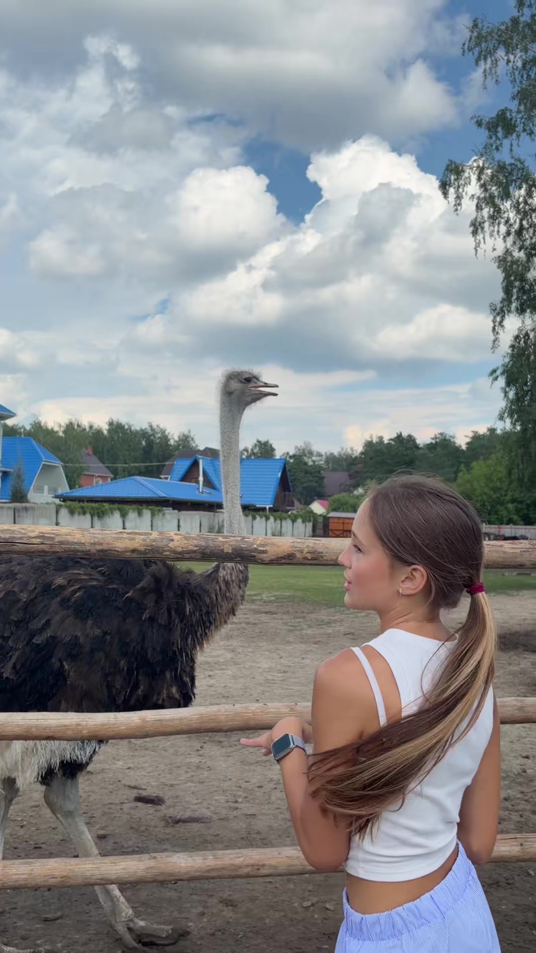 @Elina Puzyreva