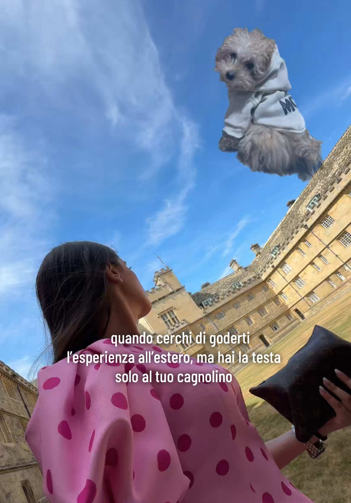 @Giulia