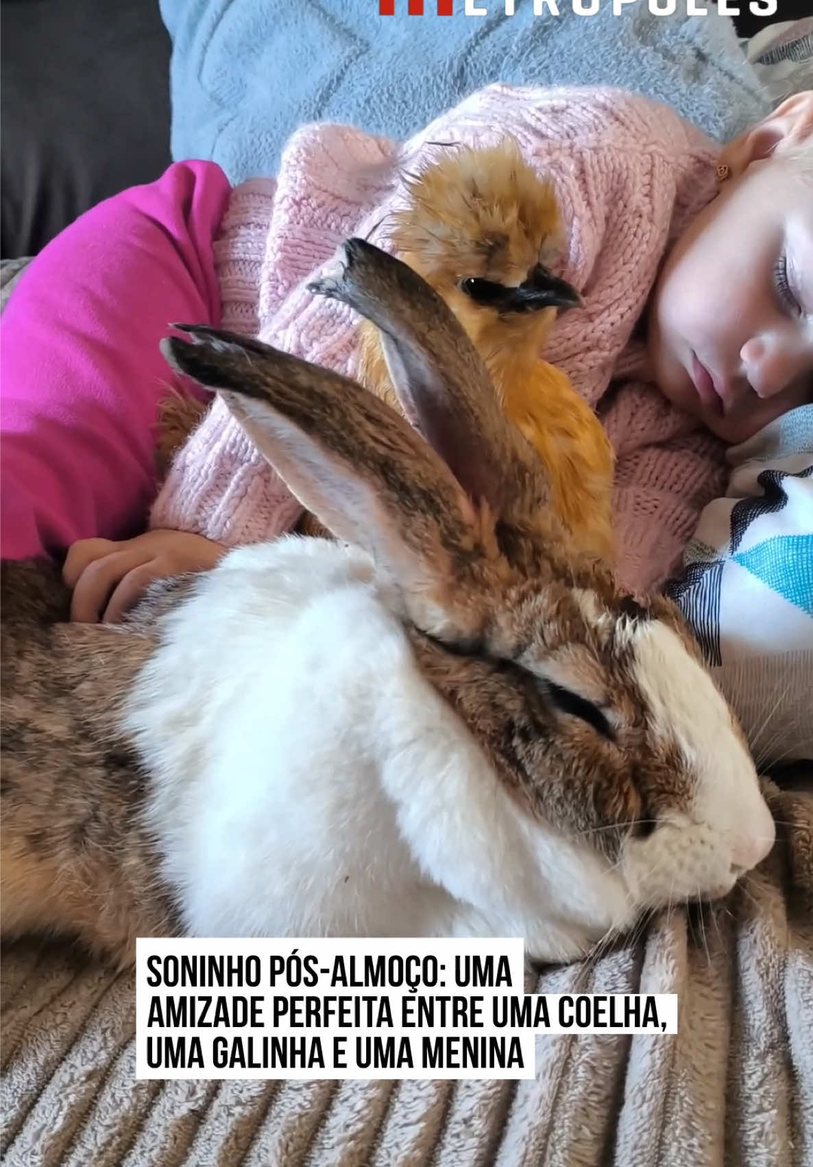 @Metr&oacute;poles Oficial