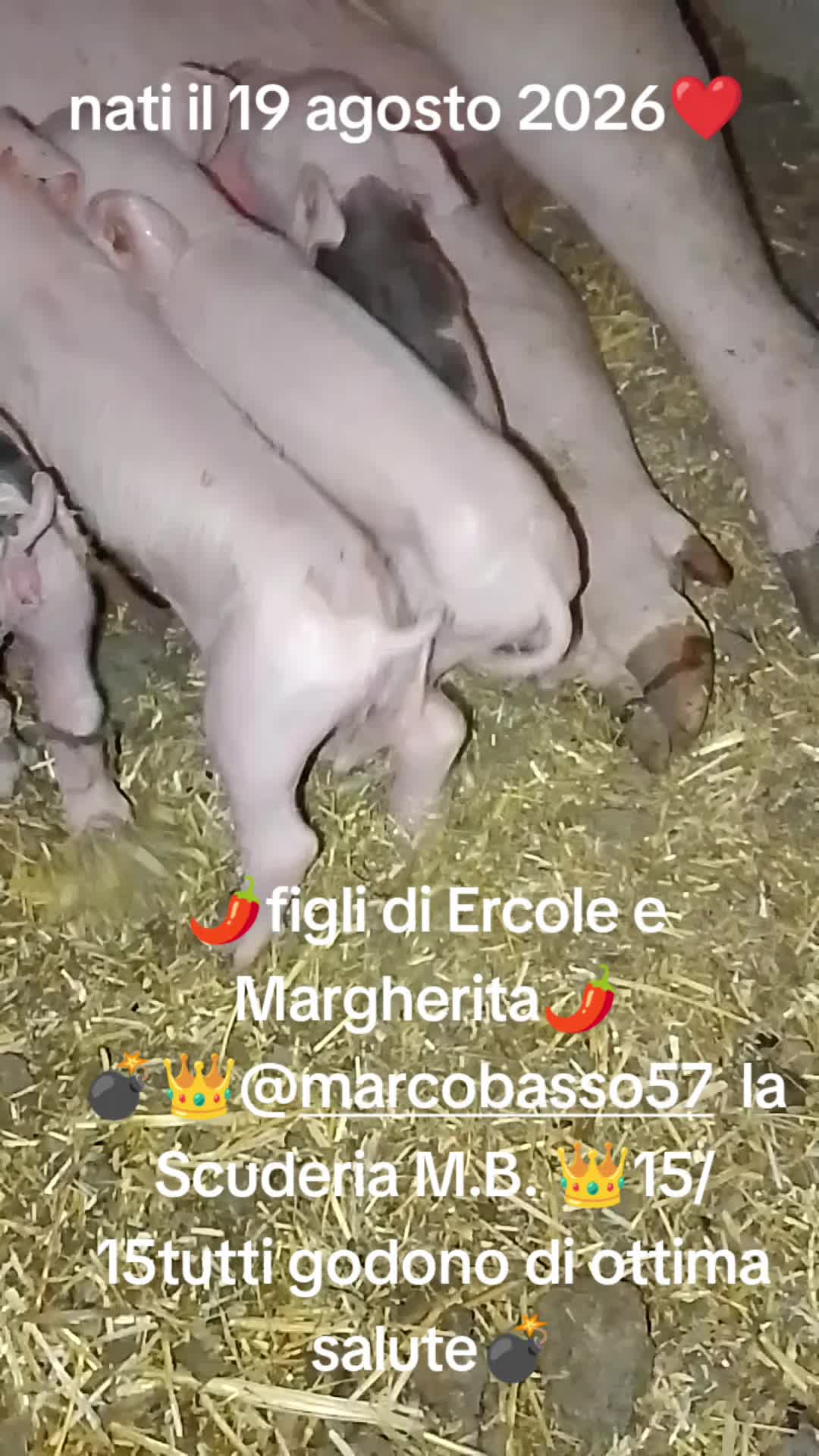 @Stefano Zagara