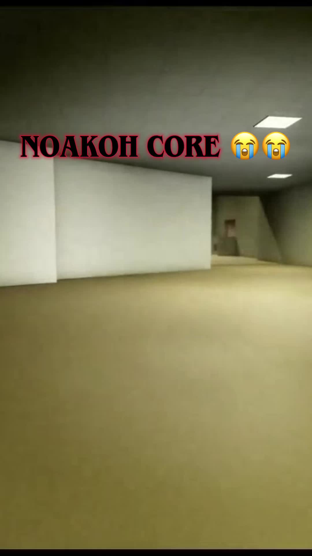 @noakoh