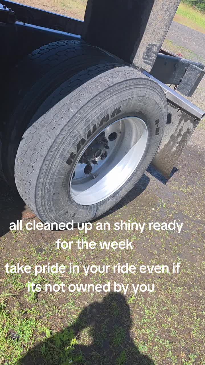 @wolf_of_odin_gaming_logtrucker