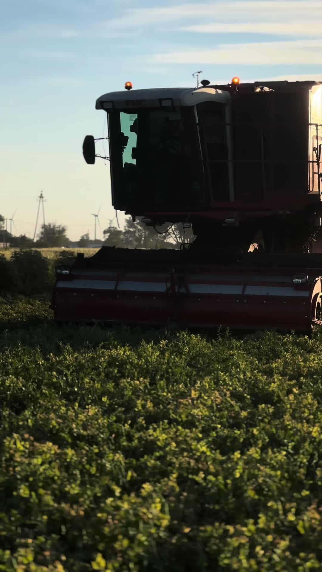 @Ćwikła agro