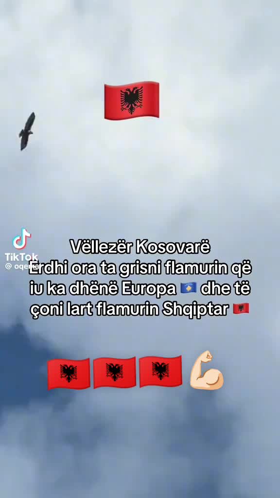 @Arbnore🇦🇱kunder tradhtarve!