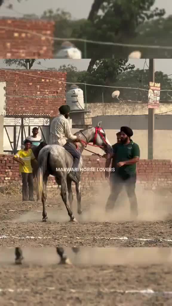 @Rai adrees Kharal