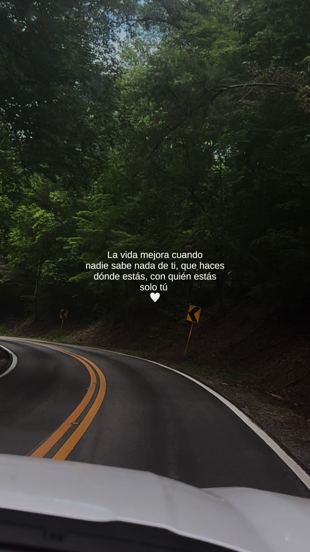 @Lina ♥️