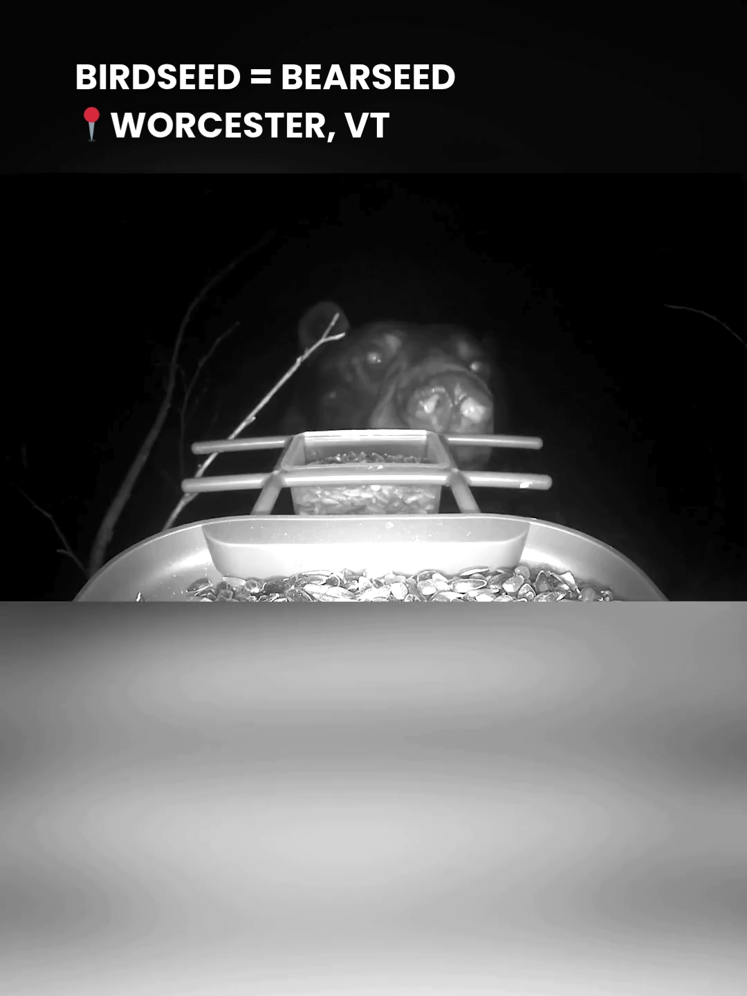 @WCAX-TV