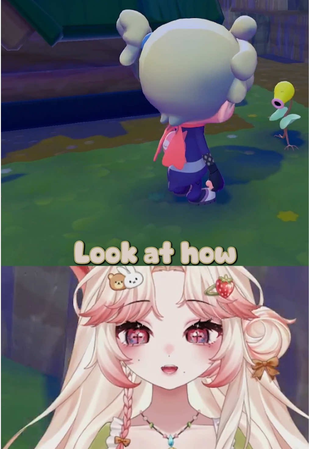 @Pawchi