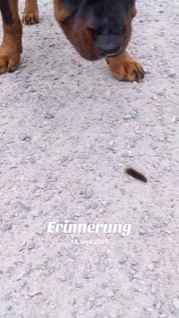 @Nicole❤️Schröder🖤Kowalski ❤️