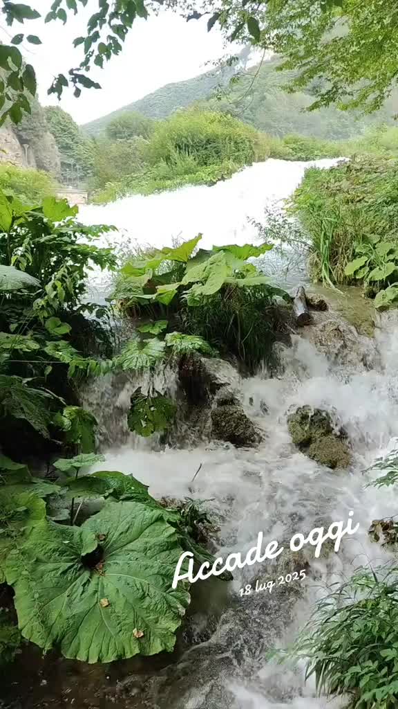 @Giò c'è .