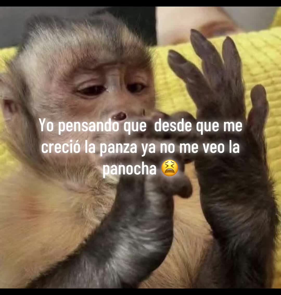 @🧃🍀🫀💋🦅LaTerrible69🌶️🇻🇪