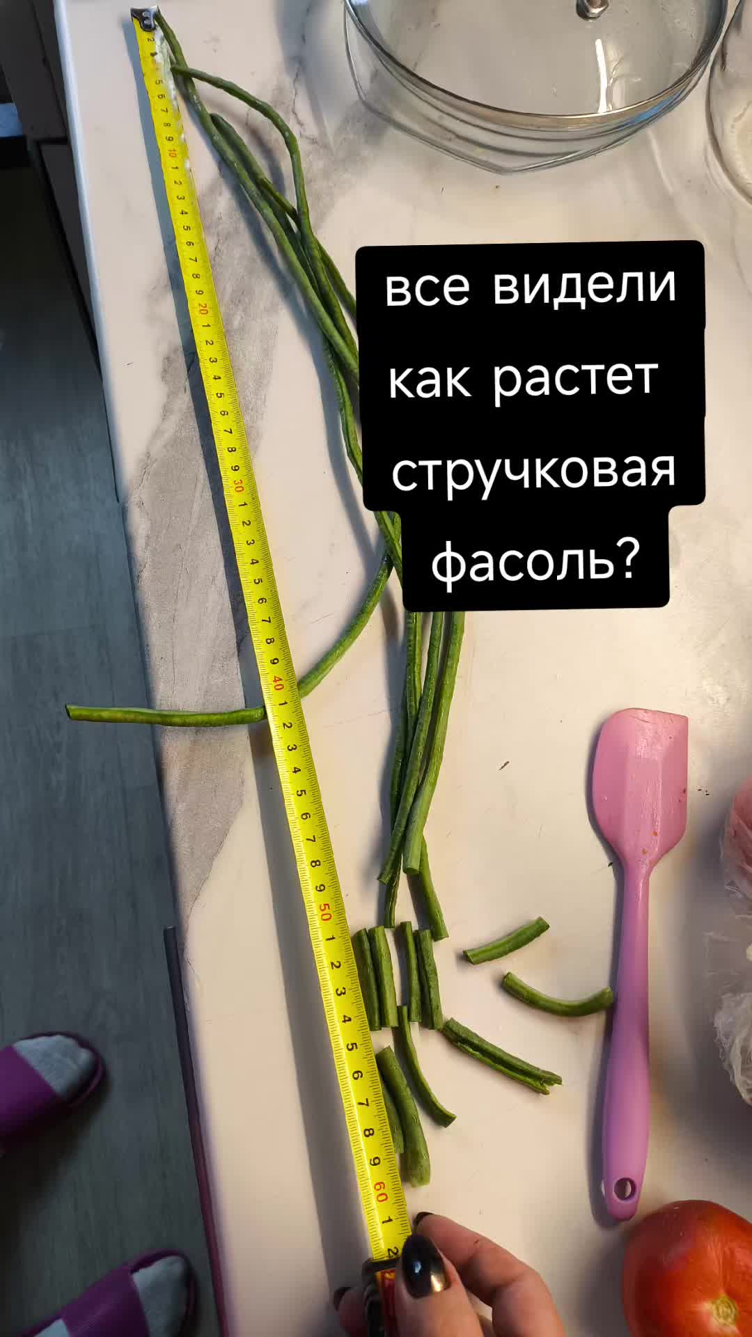 @Женя Садовая