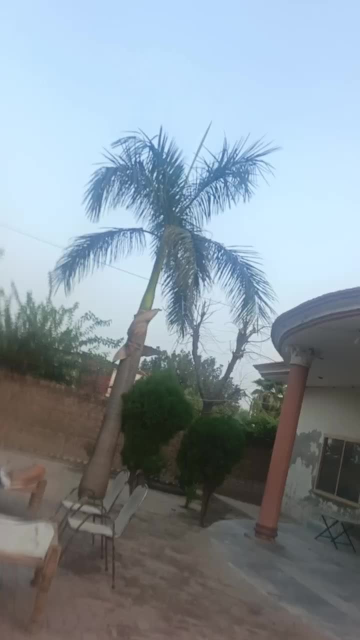 @Pakistan Kisan T.V