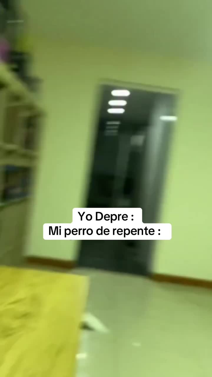 @SEL