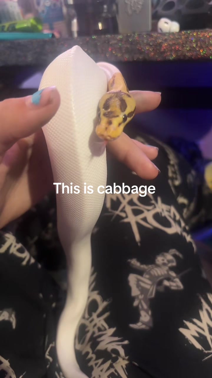 @Xx_CHARLI_CLAWS_xX