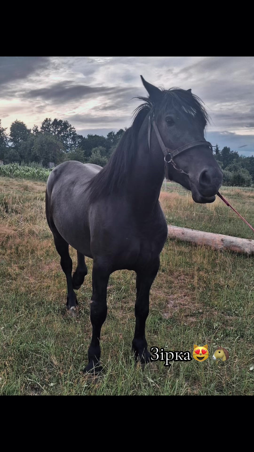 @Простий як 5 копійок😂