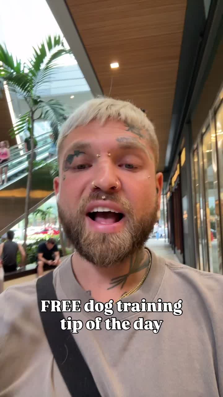 @balancedcanineacademy