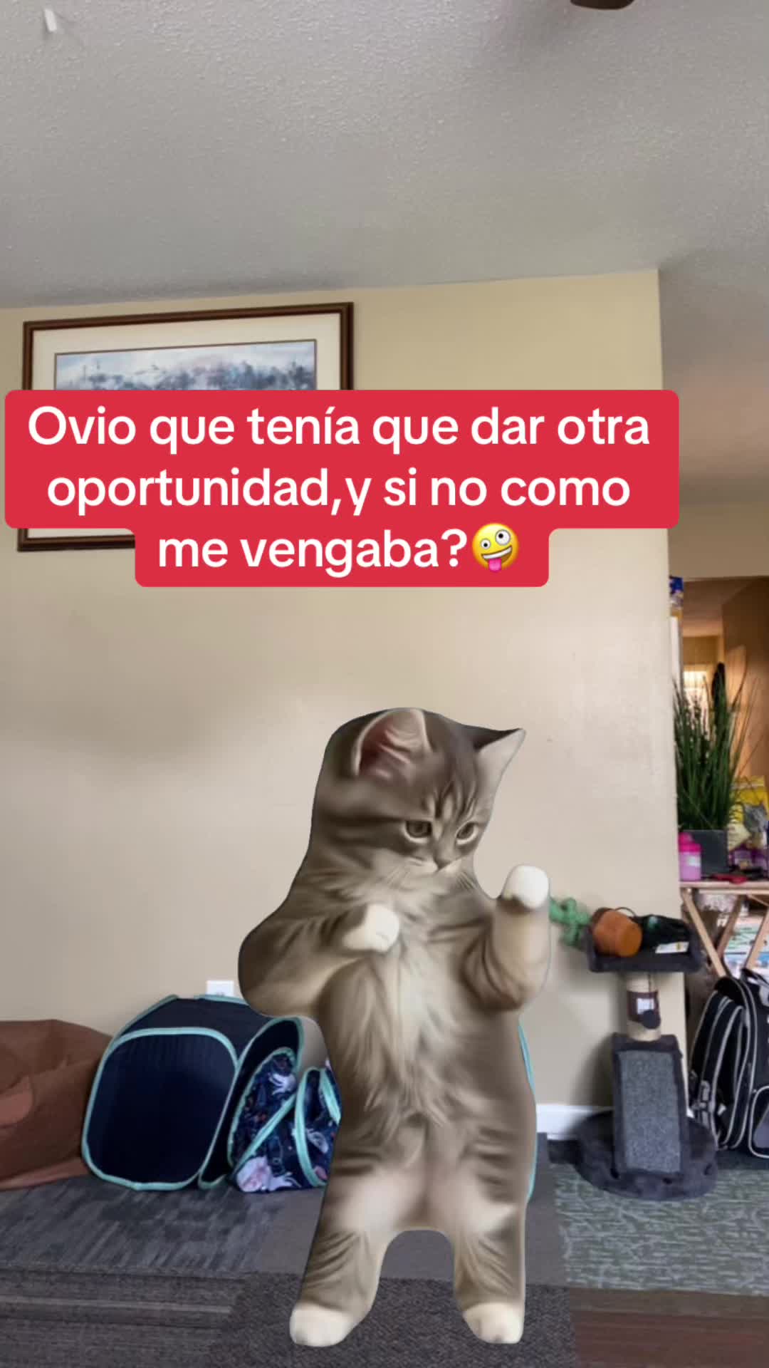 @Xioma