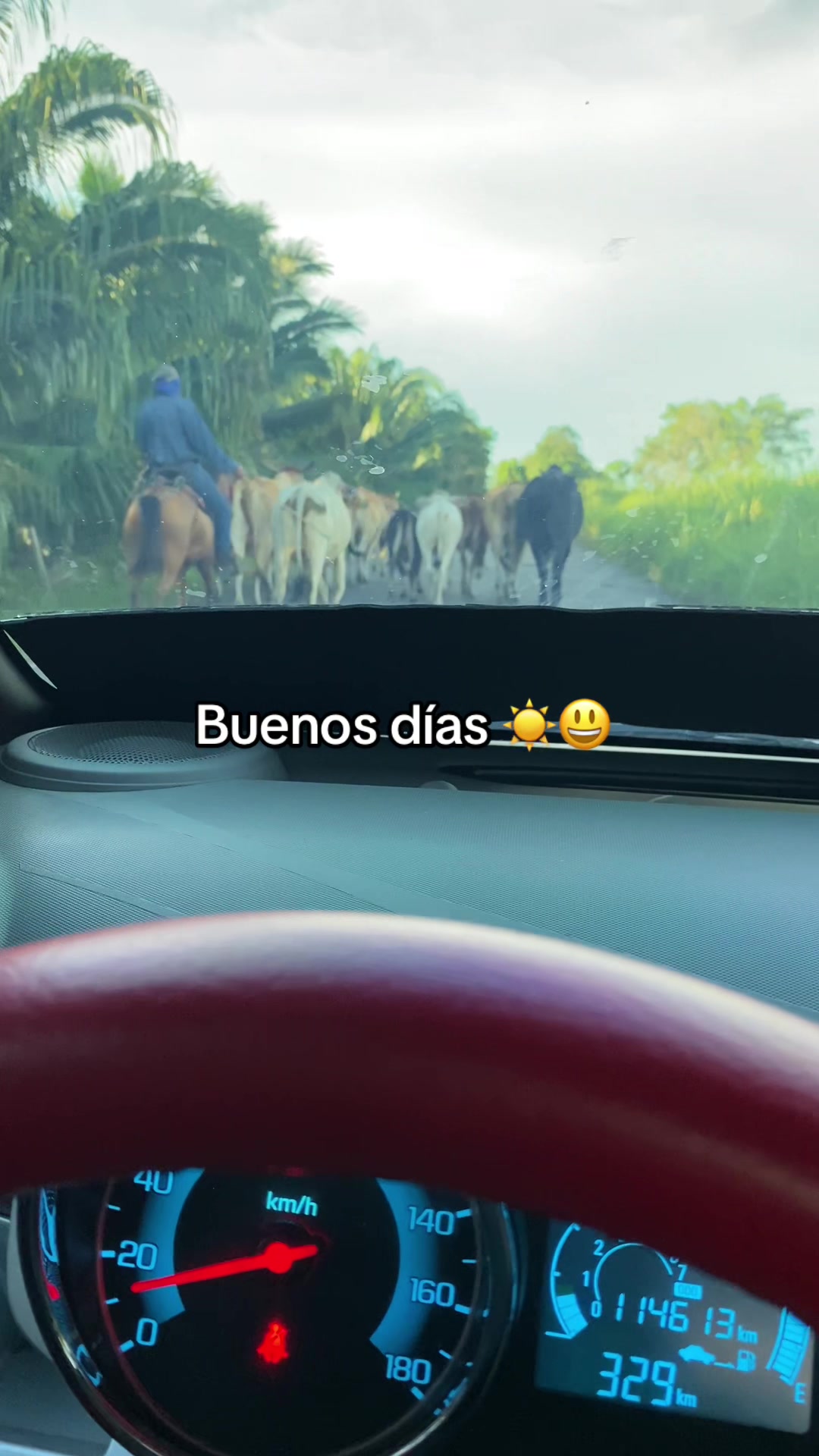 @🎵buenaver-estados✏️
