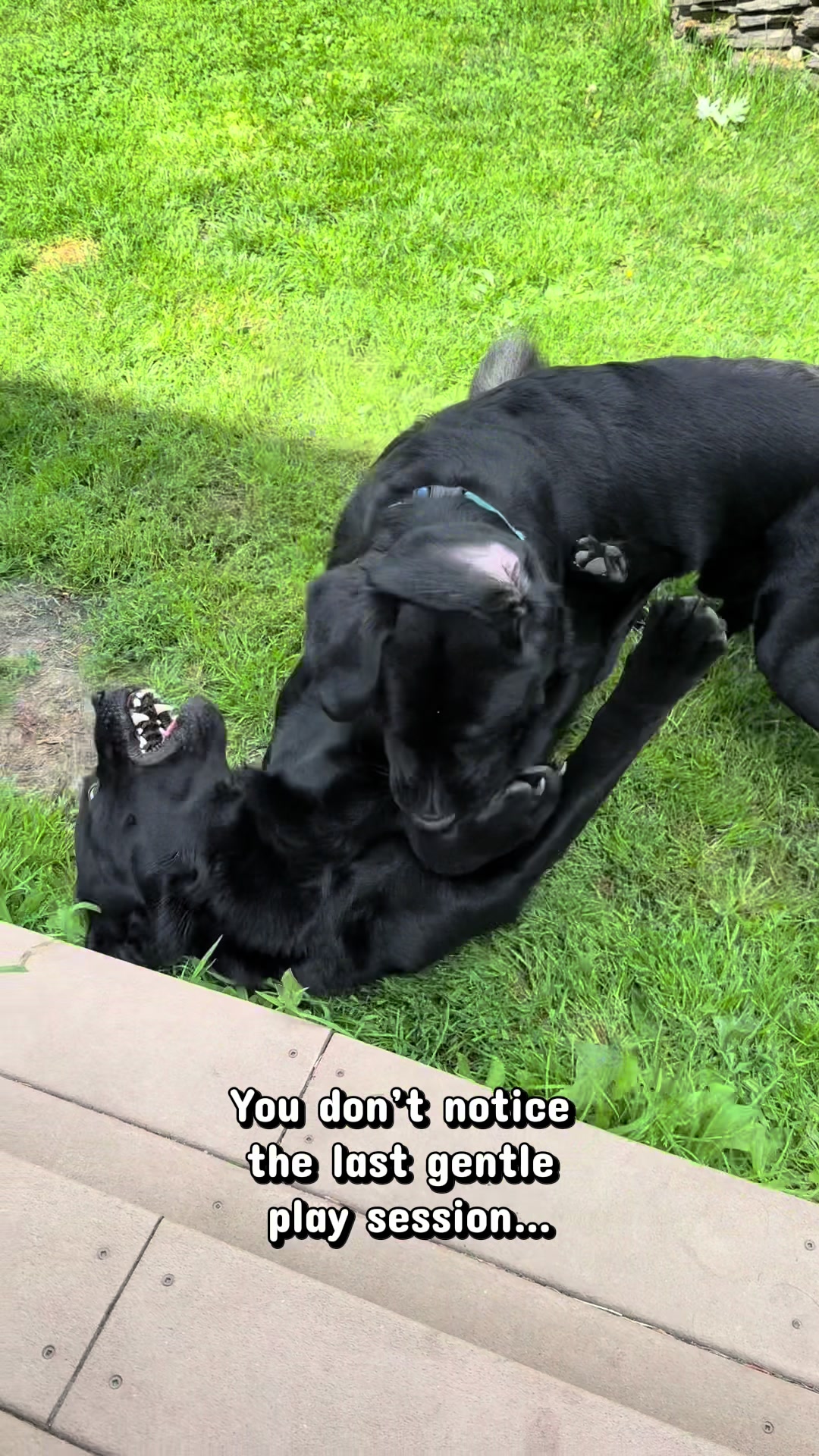 @DennisTheBlackLab