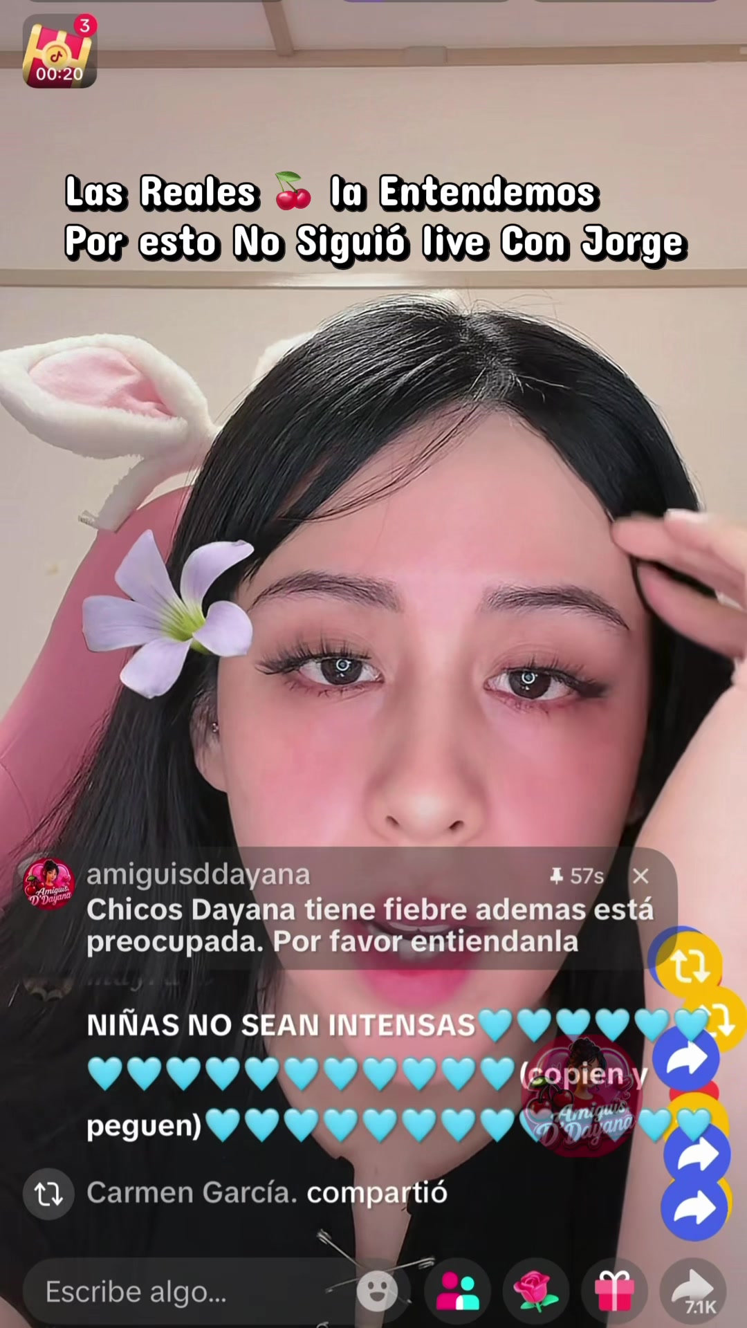@amiguisddayana