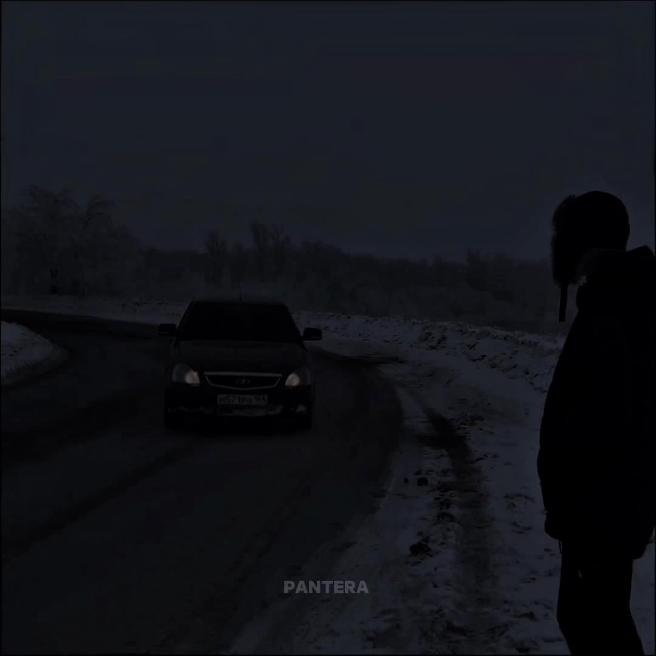@лысый