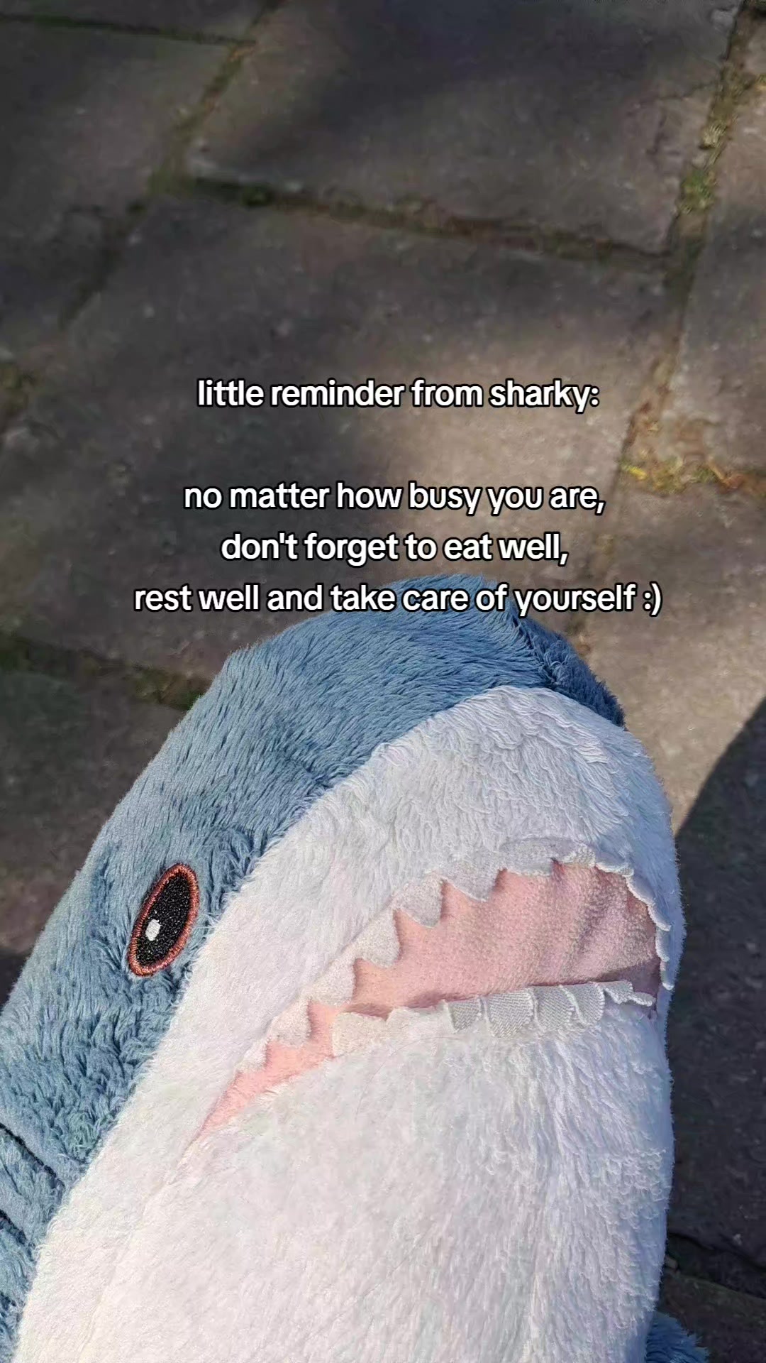 @Willie the Shark <3