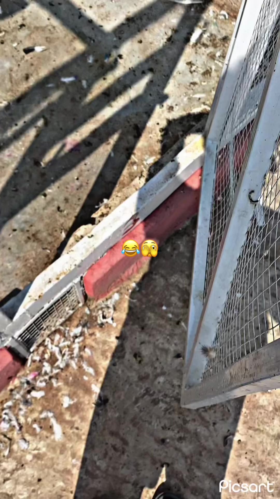 @F. ✔️. 🥀. 🔗