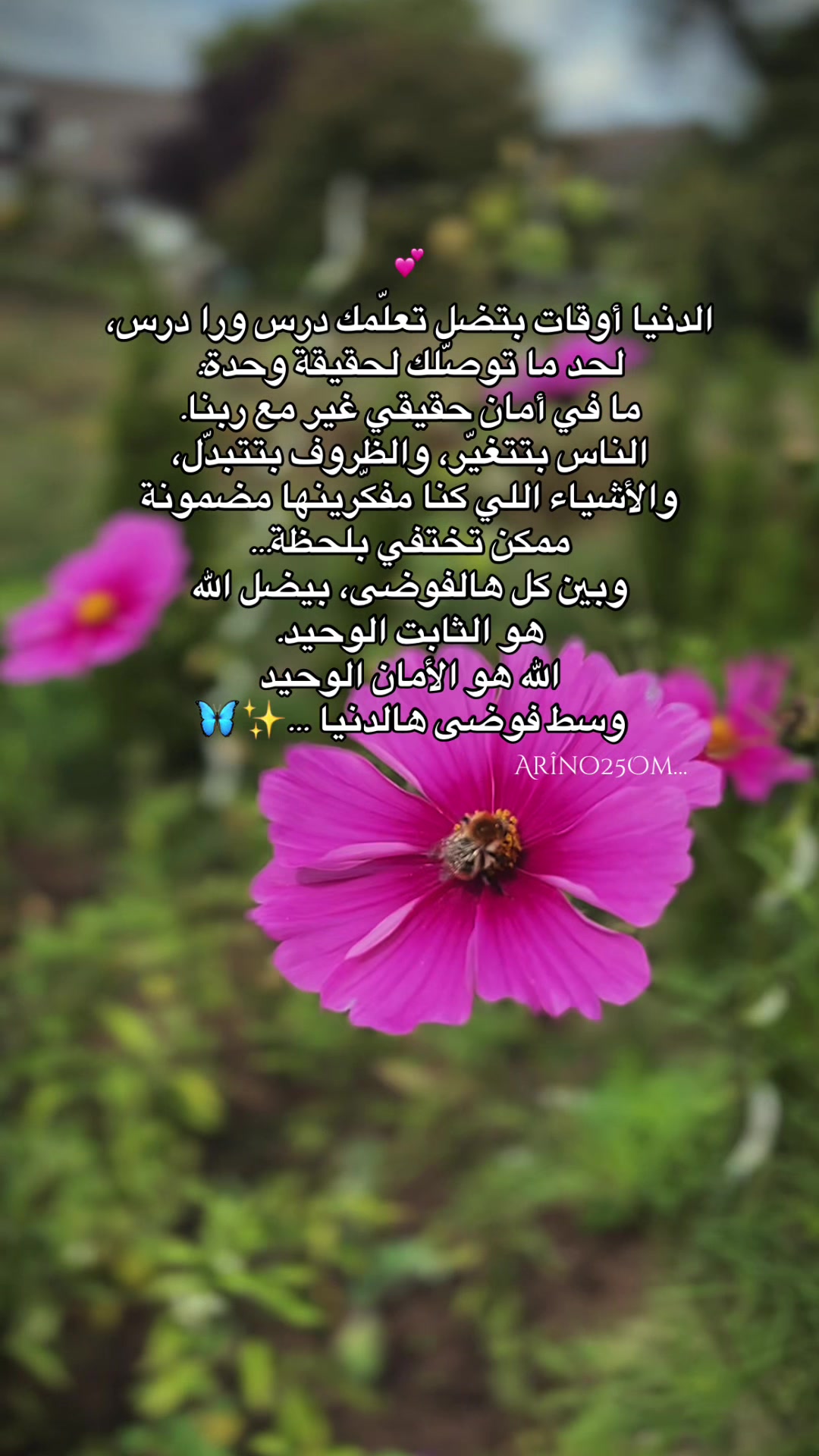 @Arîno25Om