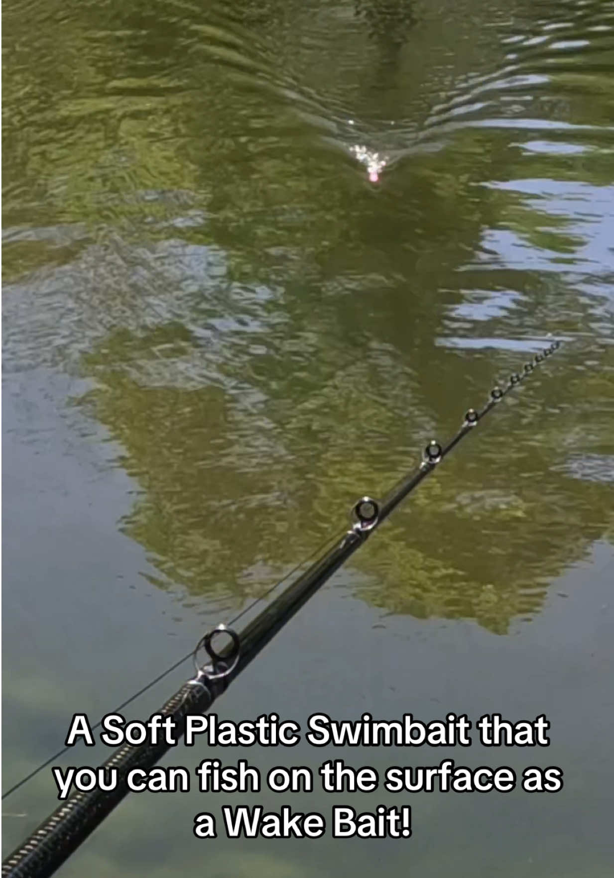 @Tacklehead Fishing