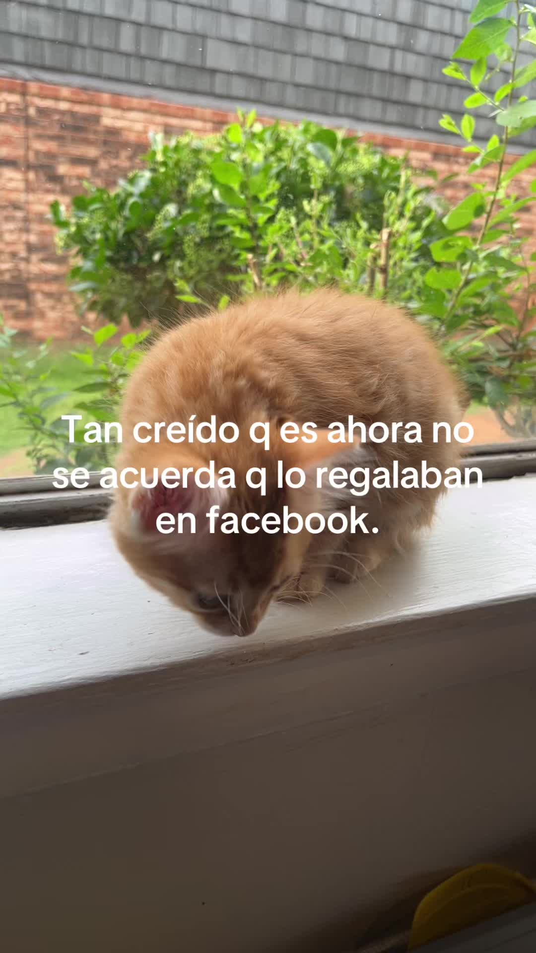 @Bibi