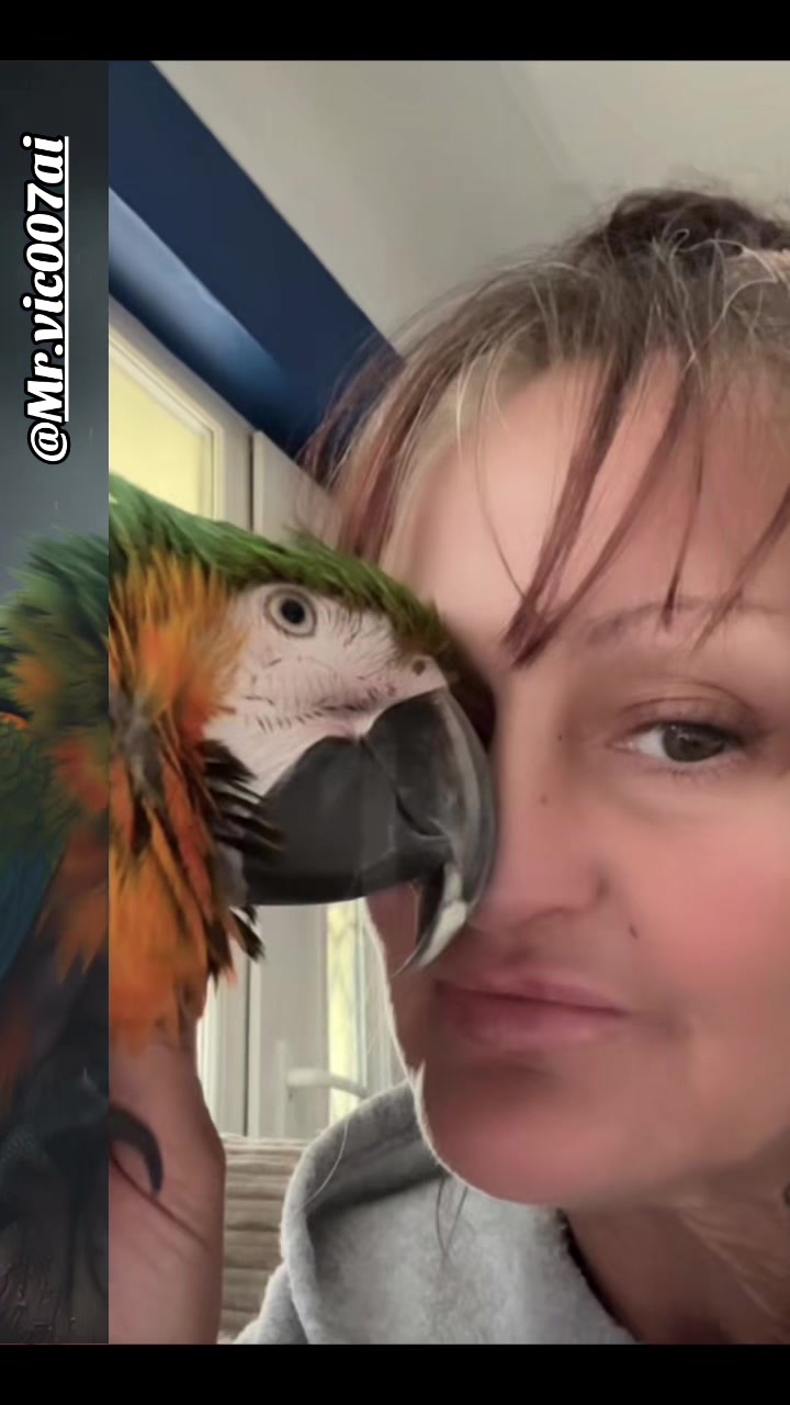 @kerryandrocky🦜